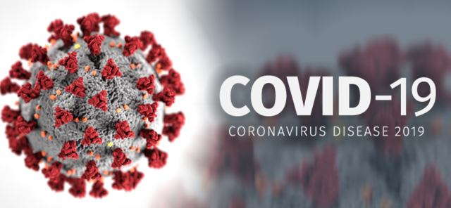 Aggiornamento Casi di Coronavirus a Sansepolcro