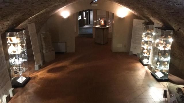 A Sansepolcro tornano “Le Notti dell'Archeologia”, mercoledì 31 luglio apertura serale del Museo Civico